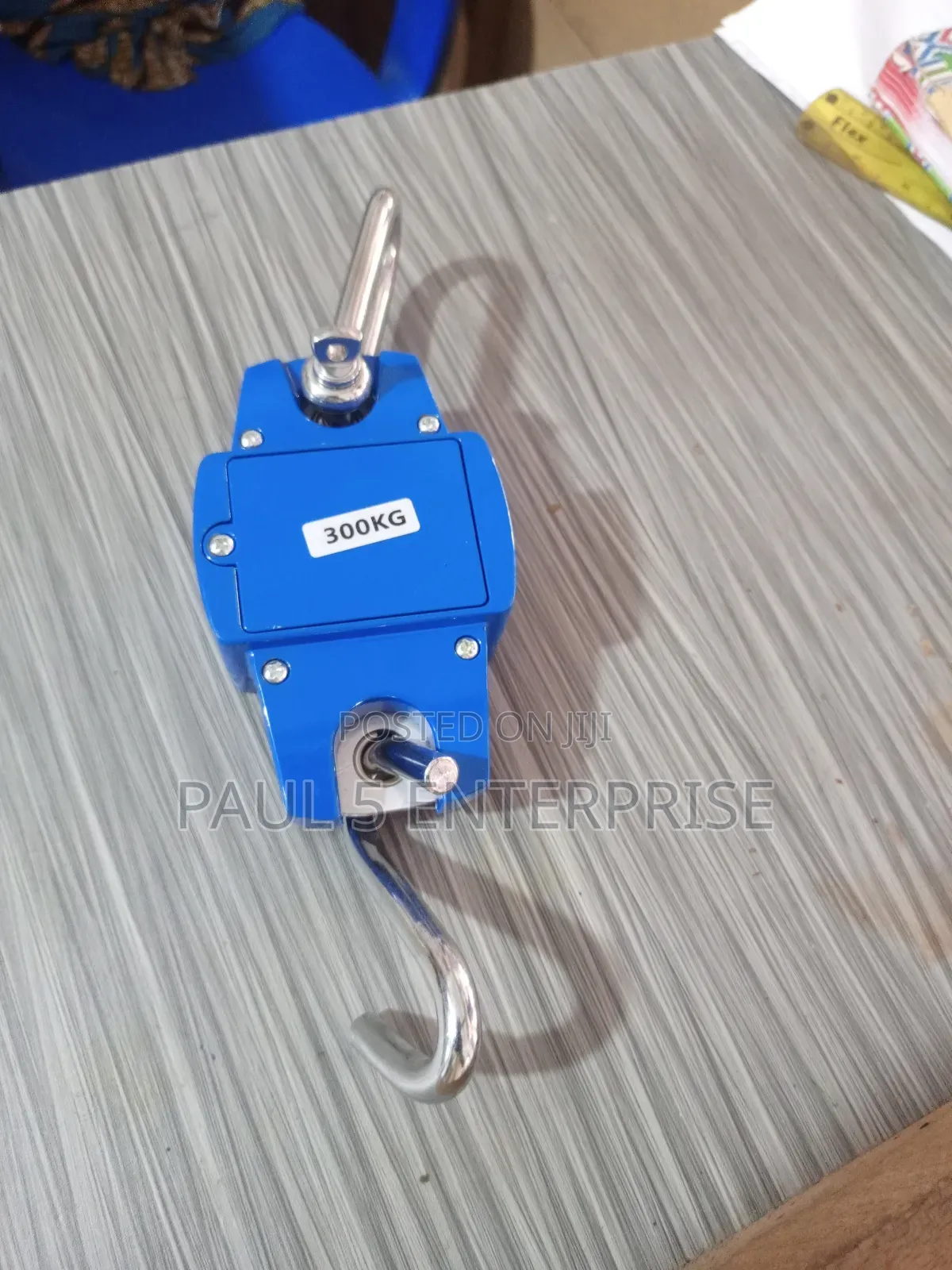 Wholesale And Retail 300kg Hanging Scale