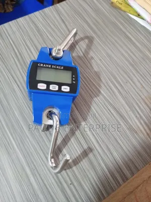 Wholesale And Retail 300kg Hanging Scale