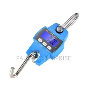 Wholesale And Retail 300kg Hanging Scale