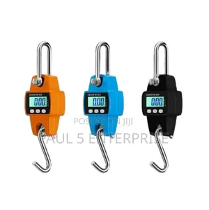 Wholesale And Retail 300kg Hanging Scale