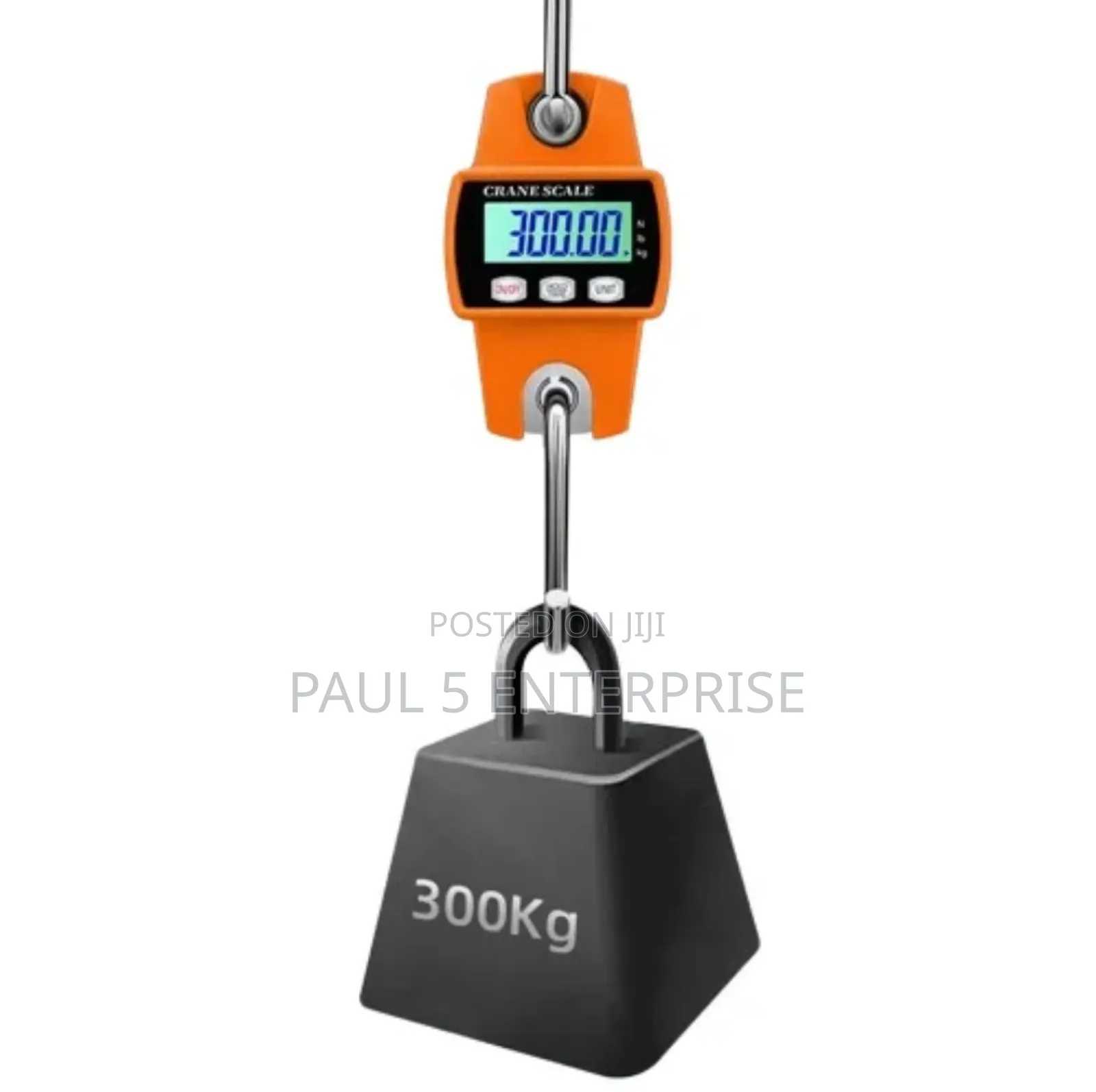 Wholesale And Retail 300kg Hanging Scale