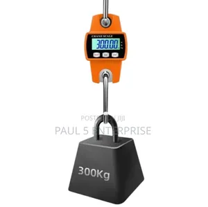 Wholesale And Retail 300kg Hanging Scale