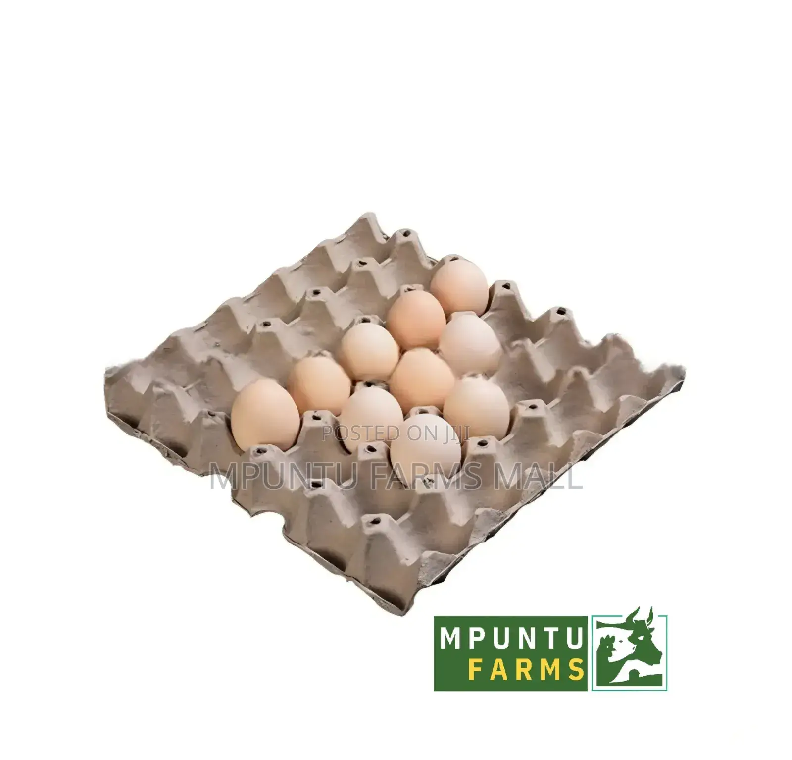 Paper Egg Crates