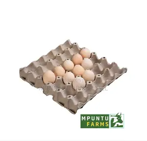 Paper Egg Crates