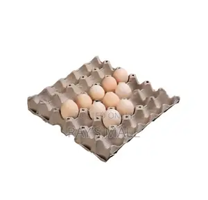 Paper Egg Crate