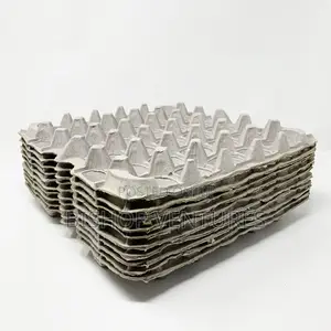 Paper Egg Crates Bundle(100pcs)