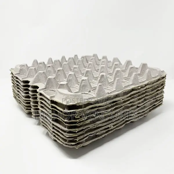 Paper Egg Crates Bundle(100pcs)
