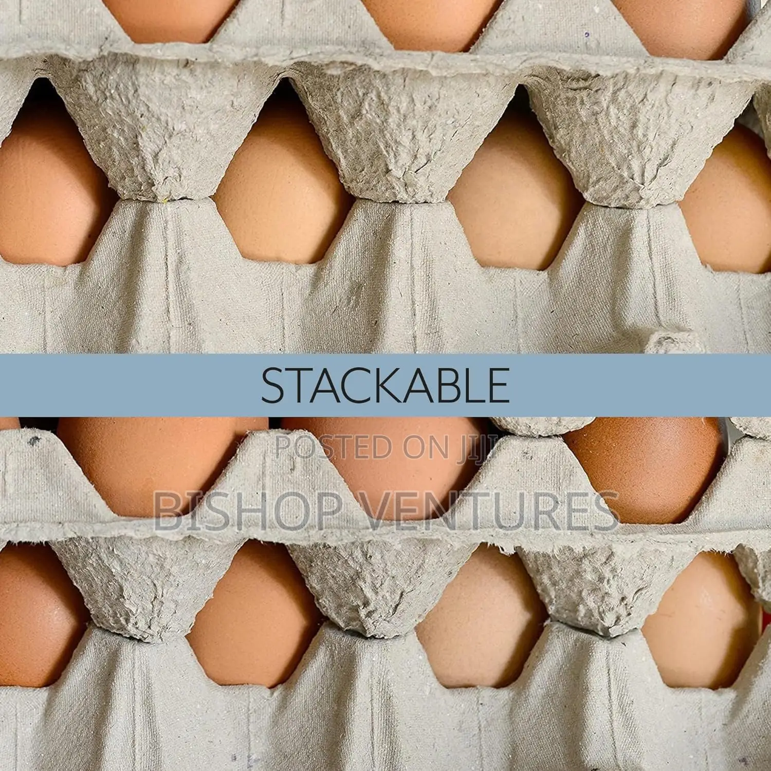 Paper Egg Crates Bundle(100pcs)