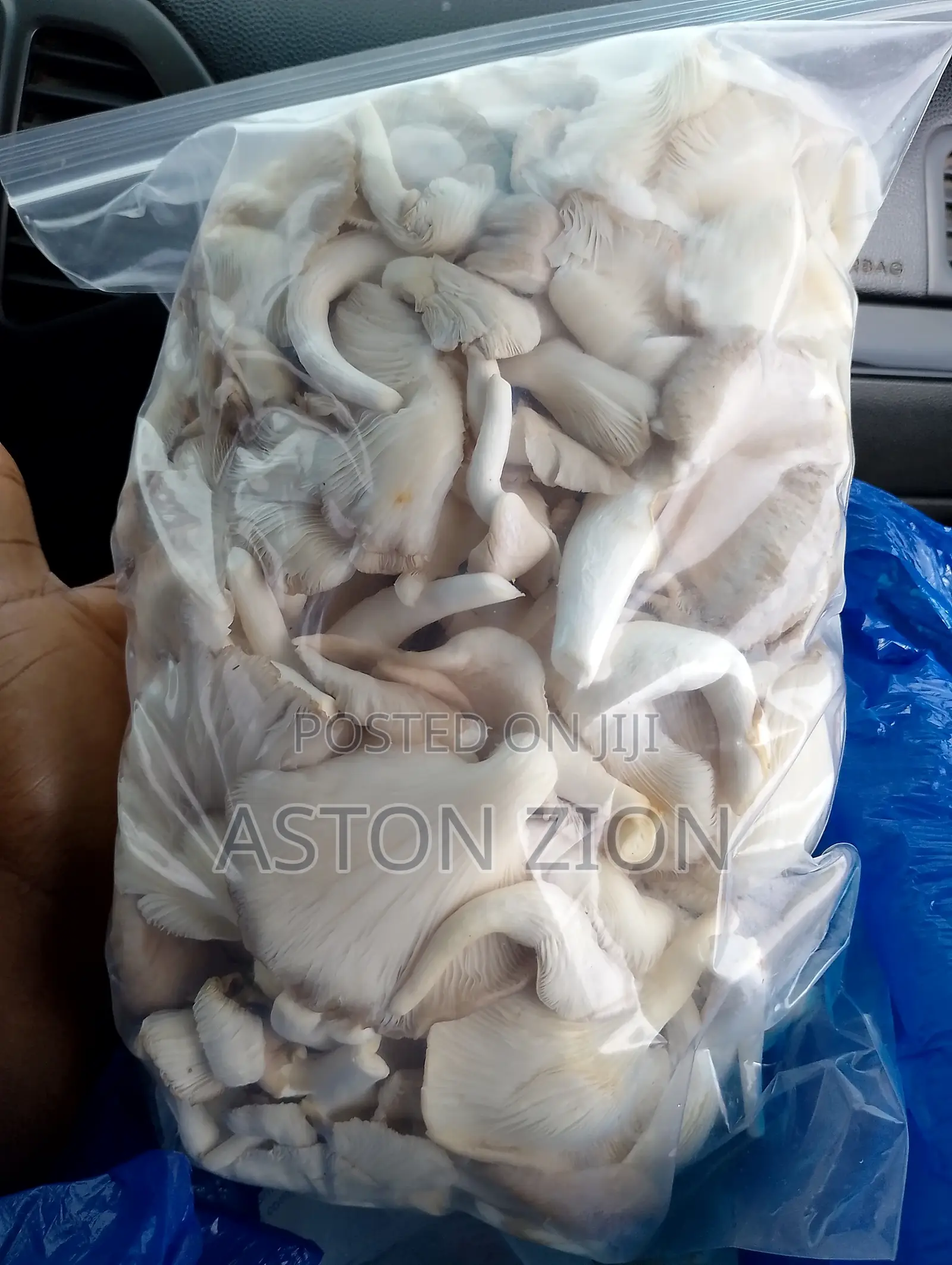 Fresh Organic Oyster Mushrooms