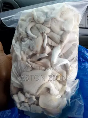 Fresh Organic Oyster Mushrooms