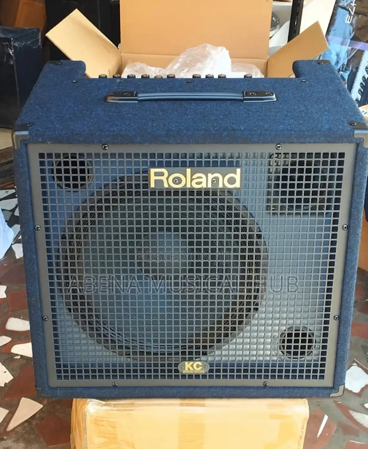 Roland Kc 550 Keyboard Combo