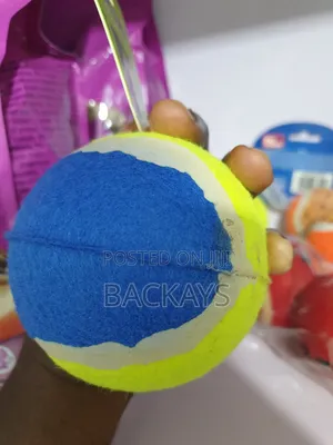 Playing Balls for All Dog Types