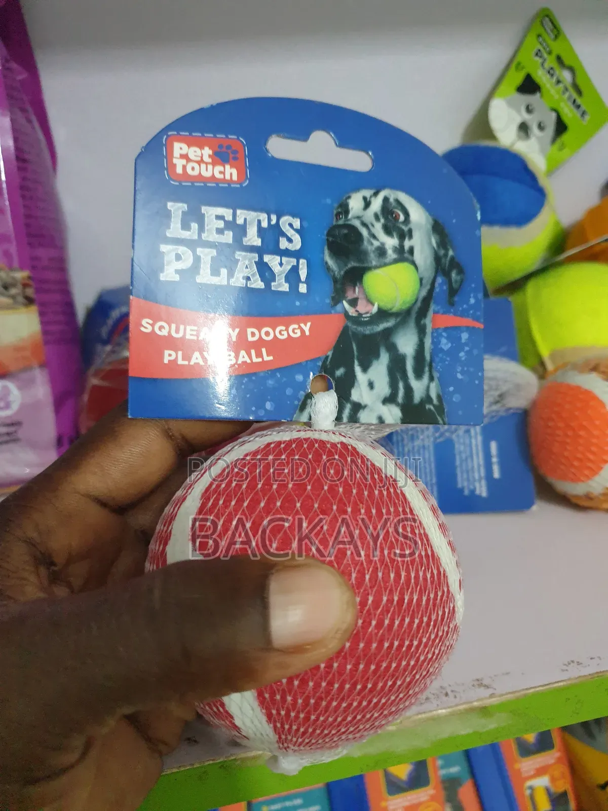 Tennis Playing Ball for All Dog Types