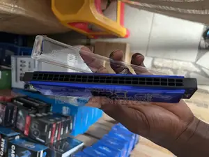 Harmonica / Mouth Organ