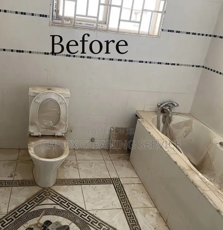 Cleaning Professional