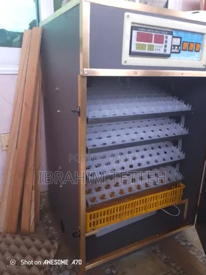 Egg Incubator