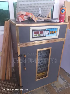 Egg Incubator