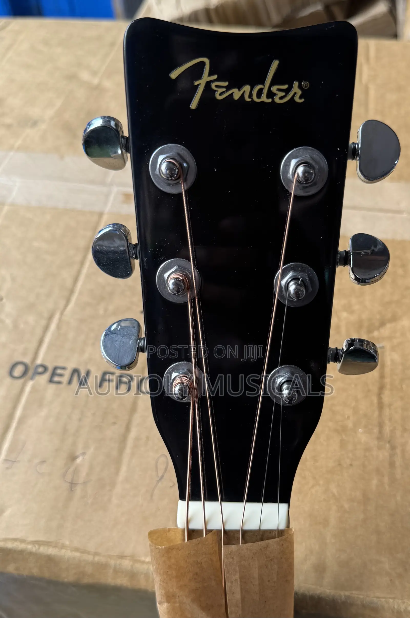 Fender Semi-Acoustic Guitar