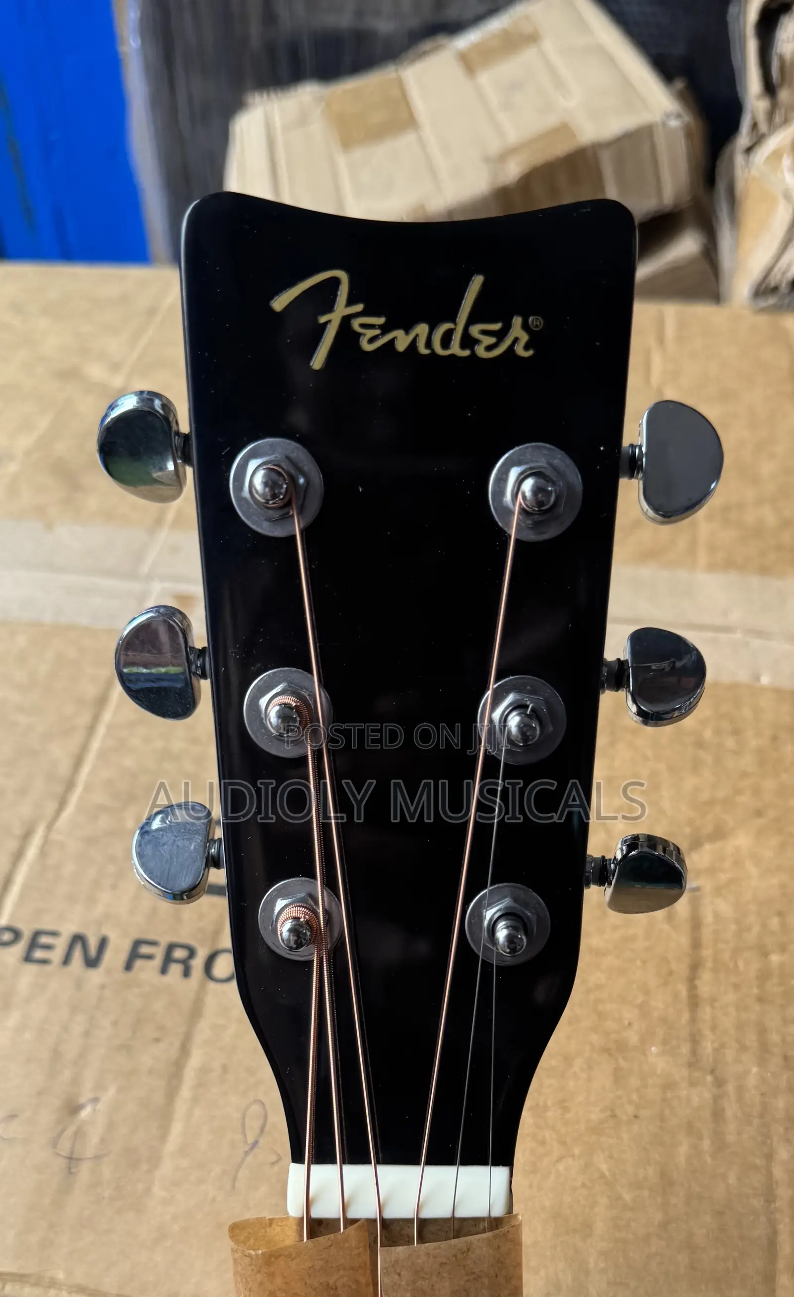 Fender Semi-Acoustic Guitar