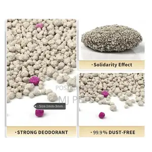 Bentonite Cat Litter Sand 10l