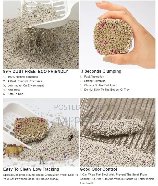 Bentonite Cat Litter Sand 10l