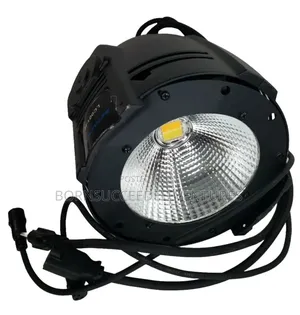 White Stage Cob Par Lights Professional 100w Procob Spotlit