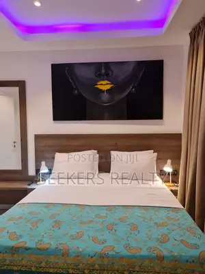 Furnished 2bdrm Penthouse in Seekers Realty, Osu Ako-Adjei for rent