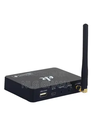 Professional Wireless Microphone System Karaoke Tvx22143