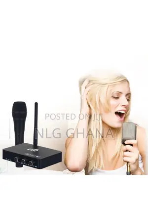 Professional Wireless Microphone System Karaoke Tvx22143