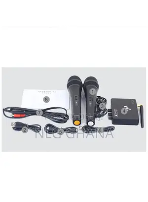 Professional Wireless Microphone System Karaoke Tvx22143