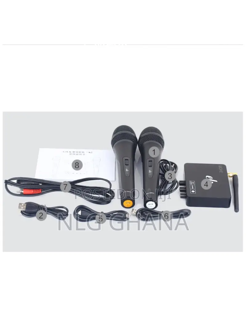 Professional Wireless Microphone System Karaoke Tvx22143