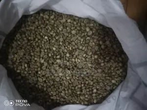 Coffee Beans for Sale