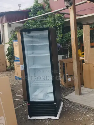 Accurate Display TCL F305cb 285 Liters Singledoor Fridge