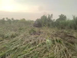 Farm Land at Asante Akyem Agogo Area