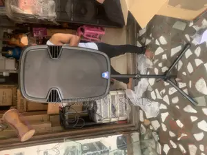 15- Inches Rechargeable With Two Mic and a Stand