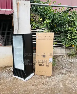 Extremely Cooling TCL F215cb 215 Single Door Display Fridge