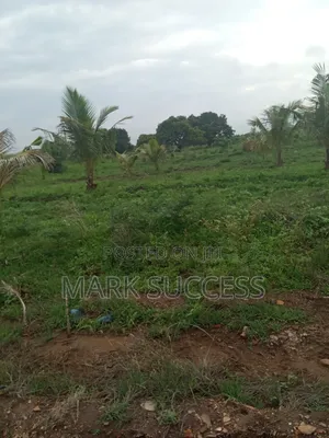 Acres of Titled Plots at Afienya -Kayokpo