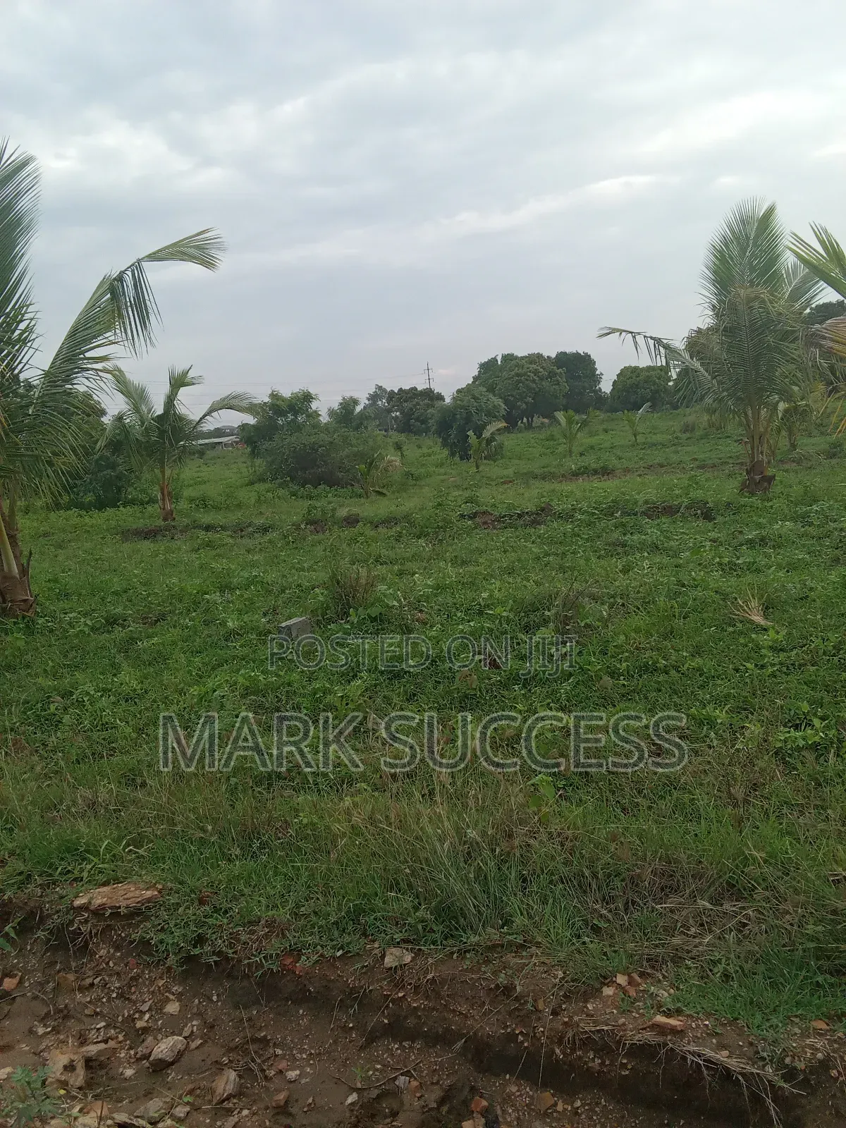 Acres of Titled Plots at Afienya -Kayokpo