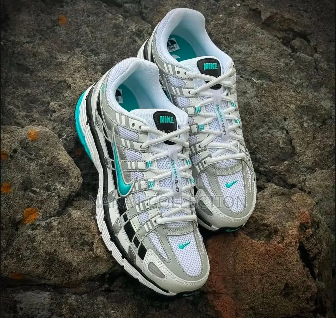 Nike P-6000 Dusty Cactus