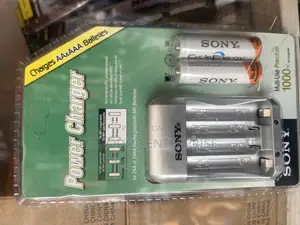 Sony Rechargeable Battery And Charger