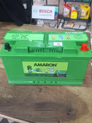 Agm Battery - Ln5 95ah, Din95 - Amaron 19 Plates (Wide)