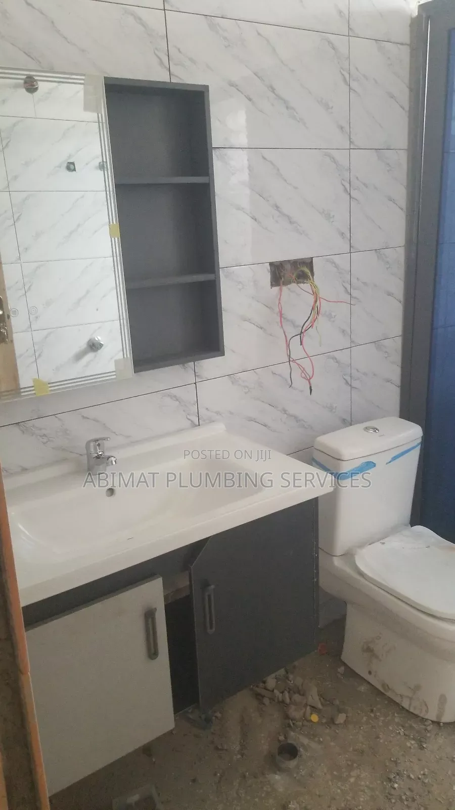 Professional Plumber (Certified