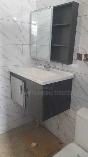 Professional Plumber (Certified