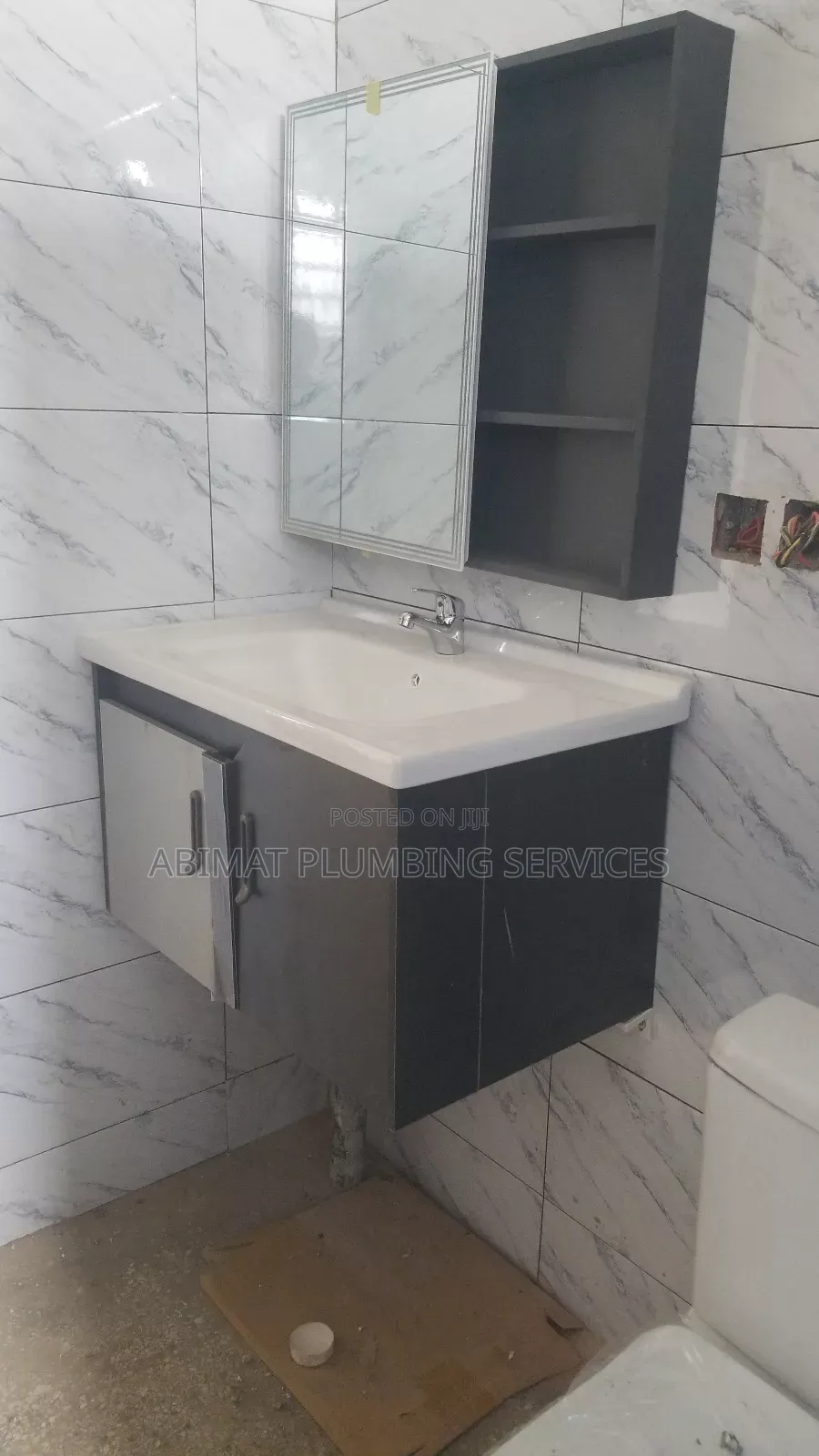 Professional Plumber (Certified