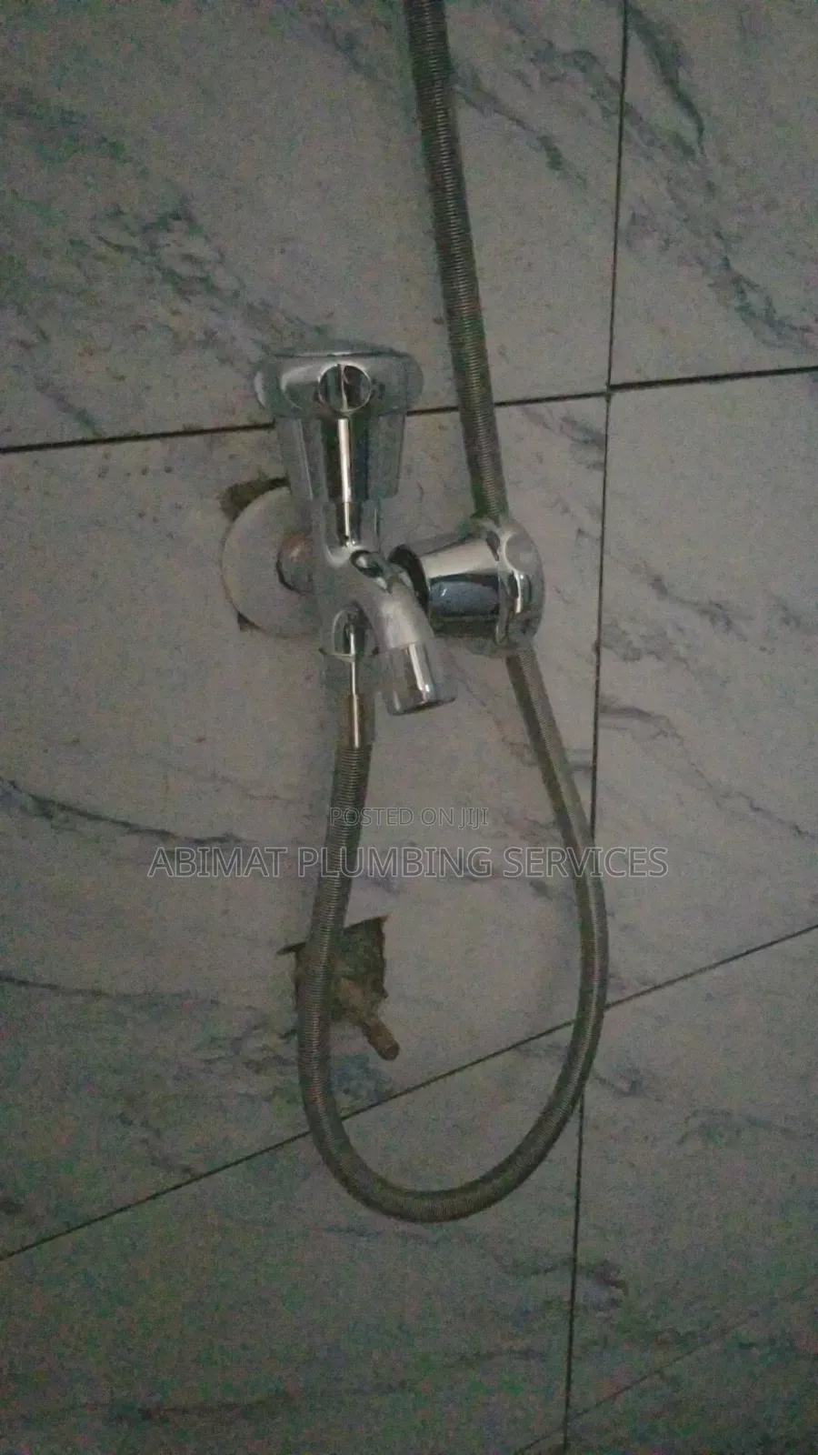 Professional Plumber (Certified