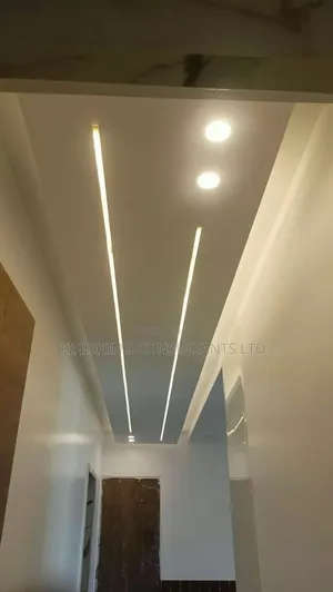 Photo - Plasterboard Ceilling International