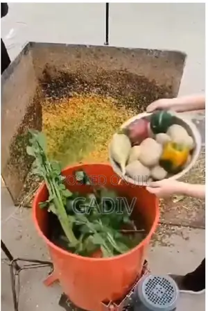 Fruit And Vegetable Shredder Machine