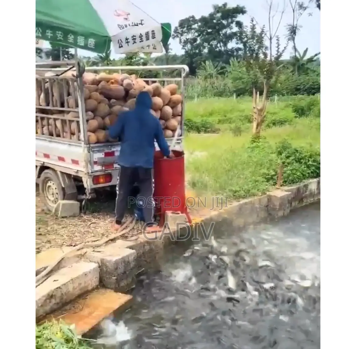 Fruit And Vegetable Shredder Machine