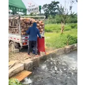 Fruit And Vegetable Shredder Machine