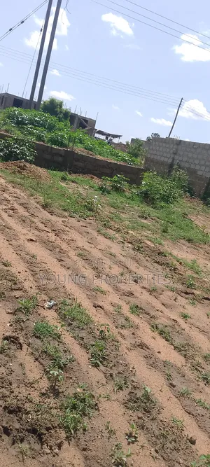 Half Plot for Sale Amasaman Domeabra for Stores